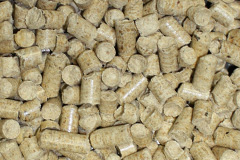 Monkhopton biomass boiler costs